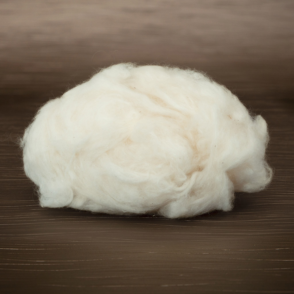 Cotton Component